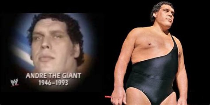 Andr&eacute; the Giant