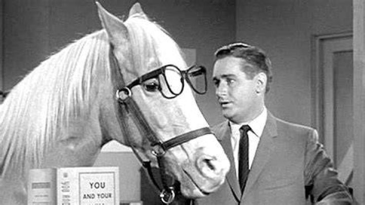 Mister Ed