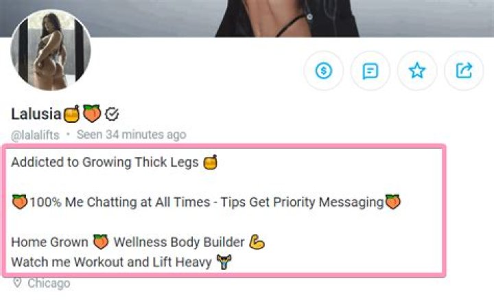 onyfans bio ideas 