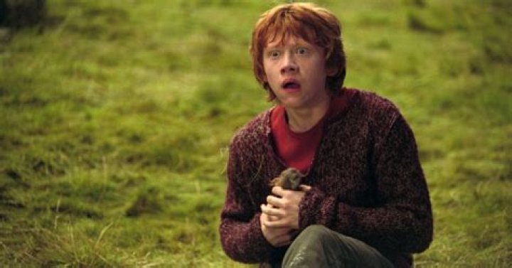 Rupert Grint Rupert Grint