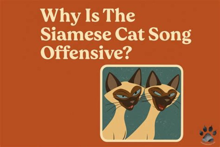 Why is Siamese offensive?