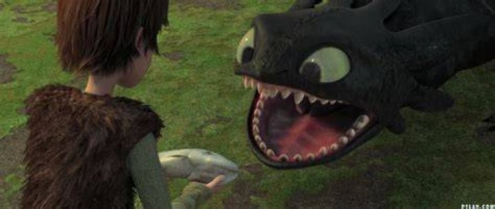 Why is toothless not on Disney plus?